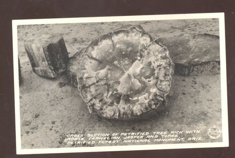 RPPC PETRIFIED FOREST NATIONAL MONUMENT ROUTE 66 VINTAGE REAL PHOTO POSTCARD