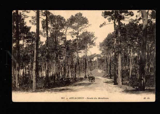 038624 FRANCE Arcachon Route du Moulleau Vintage PC