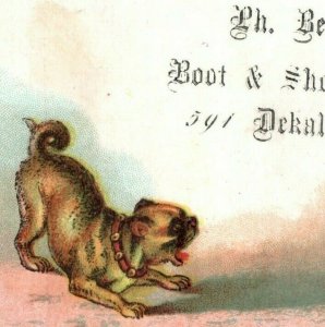 1880s P.H. Becker Boot & Shoe Store Adorable Dogs & Cats Set Of 4 P231