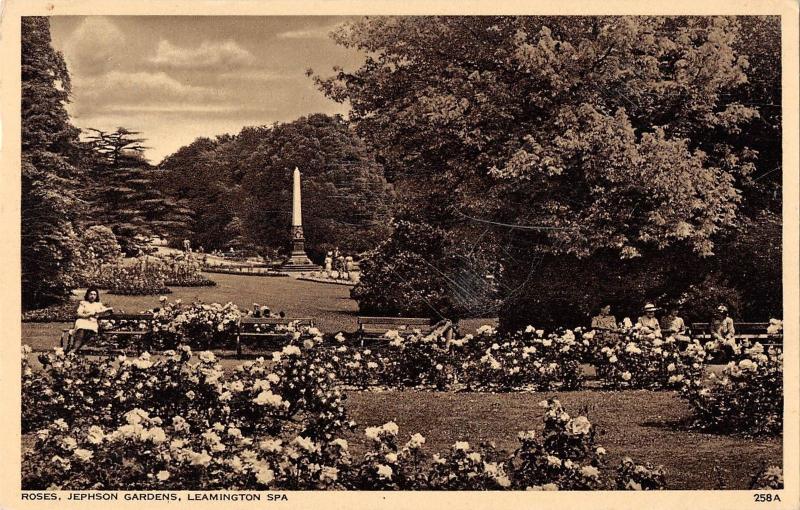 BR87793 roses jephson gardens leamington spa real photo uk