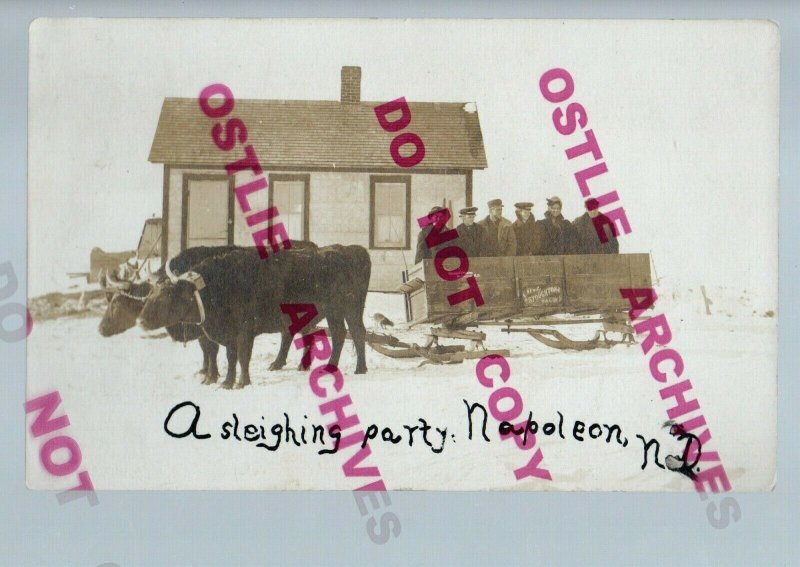 Napoleon NORTH DAKOTA RPPC 1909 SLEIGHING PARTY Cow Cart Sledge nr