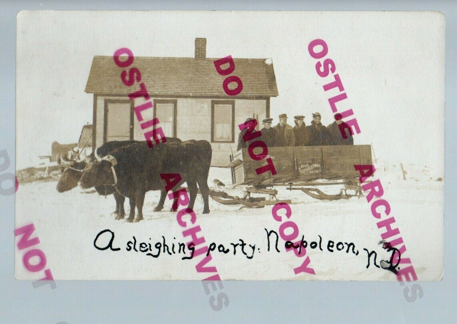 Napoleon NORTH DAKOTA RPPC 1909 SLEIGHING PARTY Cow Cart Sledge nr