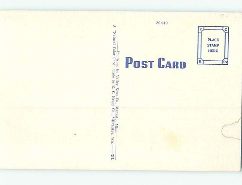Unused Linen POST OFFICE SCENE Austin Minnesota MN hs1276