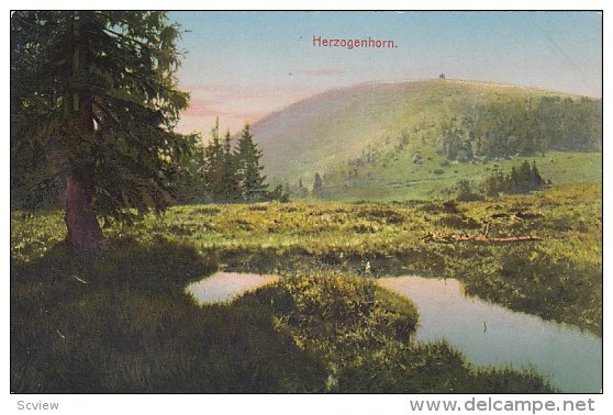 Panorama, Herzogenhorn (Mountain), Baden-Württemberg, Germany, 1900-1910s