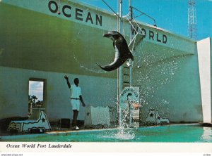 Ocean World , Ft Lauderdale , Florida , 1950-70s ; Dolphin Show ; Version-2