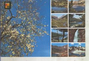 Postal (PostCard) 013897: Diversos aspectos de Andorra