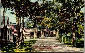 Trinity Park, Cottage City MA Now Oak Bluffs c1911 Vintage Postcard R67