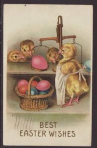 Best Easter Wishes,Chicks,Eggs Postcard 