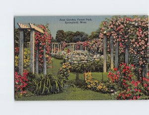 Postcard Rose Garden, Forest Park, Springfield, Massachusetts, USA