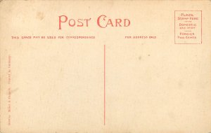 Vintage Postcard High School Ripley NY Chautauqua County