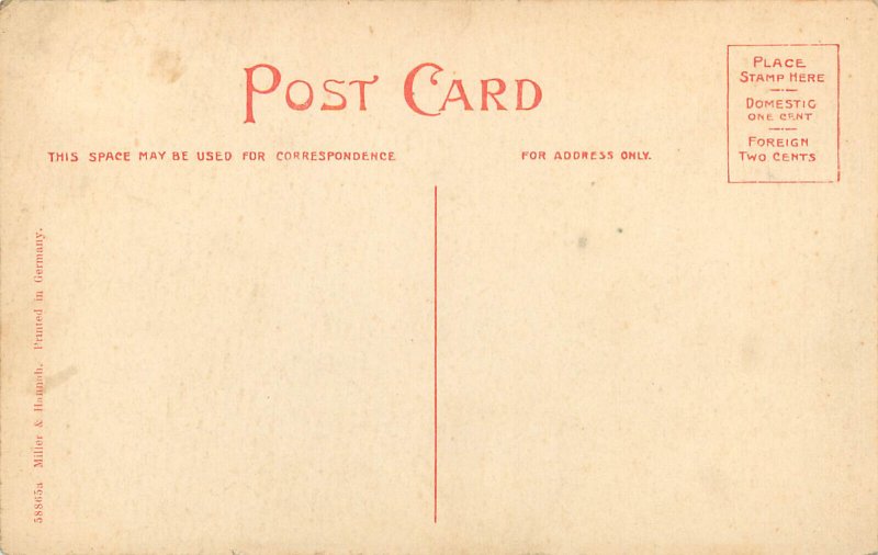 Vintage Postcard High School Ripley NY Chautauqua County