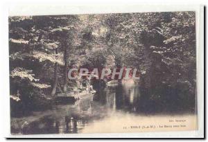 Esbly Old Postcard Morin undergrowth