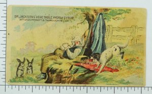 1883 Dr Jacksons' Vegetable Worm Syrup Picnic Scene Sleeping Man Dog Rabbits F83