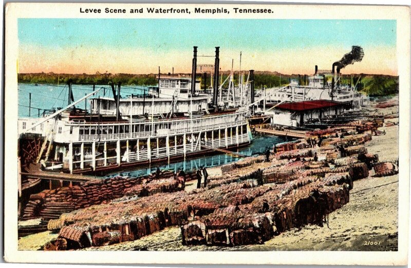 Levee Scene and Waterfront Cotton Bales Memphis TN Vintage Postcard T36