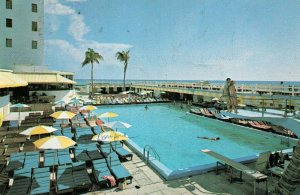 Miami Beach Florida FL Casablanca Hotel Pool Postcard 