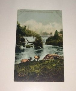 VINTAGE UNUSED  POSTCARD UPPER TUM WATER FALLS OLYMPIA WASH. PENNY PC