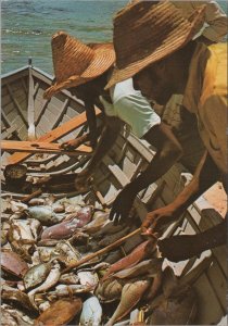 Seychelles Postcard - Fishermen, A Day's Catch, Indian Ocean  RR23422