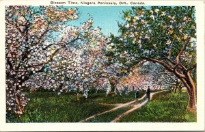 Blossom Time Niagara Peninsula Ontario Canada WB Postcard Valentine UNP Unused 