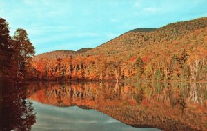 Vintage Postcard Autumn Fall Foliage Spectacle Color Water Reflection Vermont VT