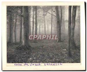 Old Postcard Corner Foret Saarland