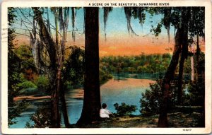 USA A Scene On The Beautiful Suwannee River Georgia Vintage Postcard 09.81