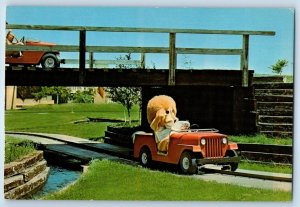 1960 Des Moines Iowa IA Postcard Adventureland Bridge Classic Car Lion Unposted