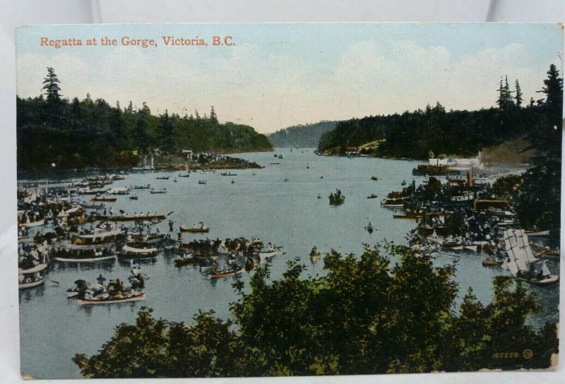 Antique Canadian Postcard Regatta at the Gorge Victoria British Columbia BC 1911