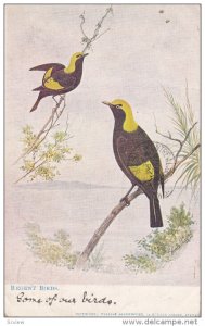 Regent Birds on branches, PU-1908