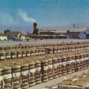 USA Bales of Cotton California San Joaquin Valley Vintage Postcard 07.64