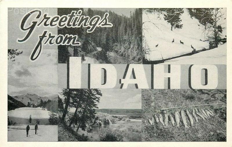 ID, Idaho, Greetings, Multi View, Graycraft