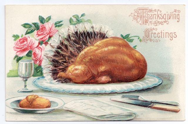Roast Turkey with Tail Feathers Vintage Thanksgiving Postcard Embossed