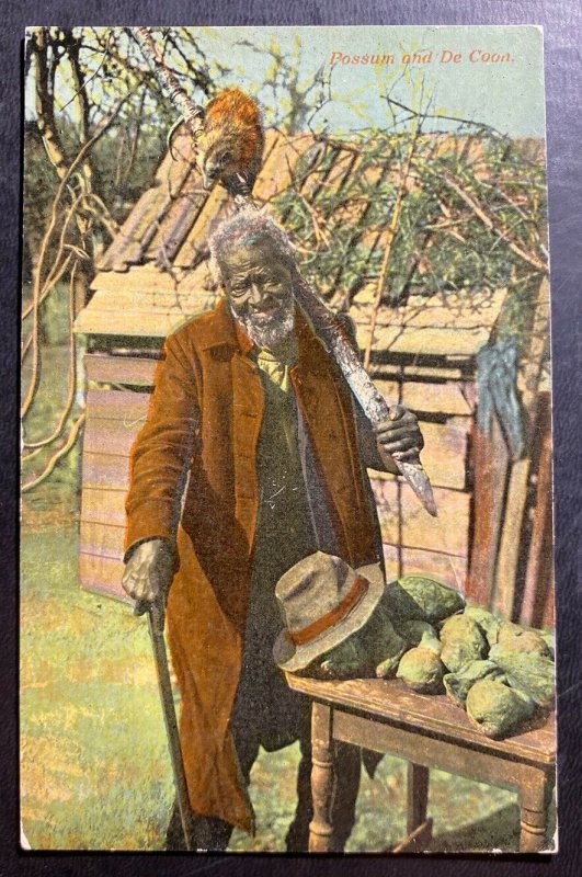 Mint Color Picture Postcard Black Americana Possum And Old Man