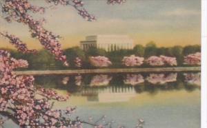 Washington D C Lincoln Memorial and Cherry Blossoms