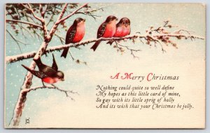 1905 A Merry Christmas Birds Resting On Twig Message Greetings Posted Postcard