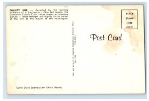 Vintage County Hub Ohio Postcard P96