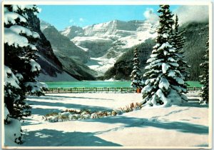 Autumn Snowfall At Lake Louise - Alberta, Canada M-17692