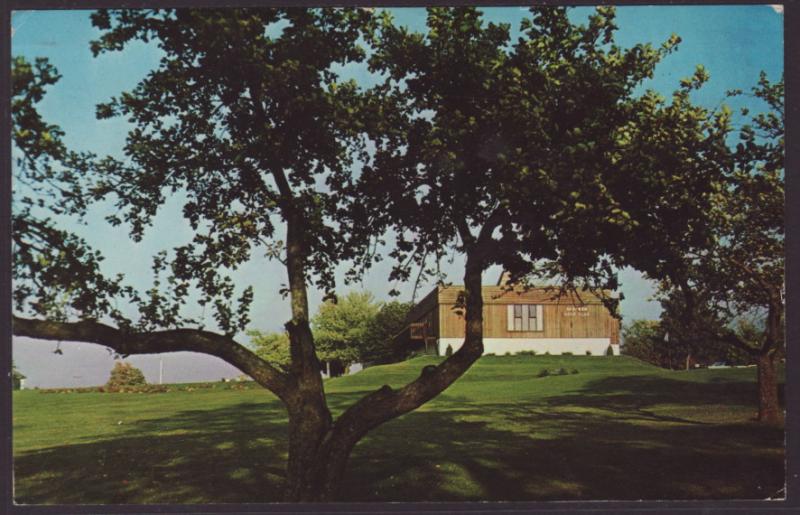 Saugeen Golf Club Postcard BIN