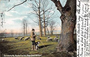Shepherd and his Sheep Druid Hill Park - Baltimore, Maryland MD Postcard