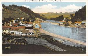 Murray Bay Quebec Canada Village Birdseye View Antique Postcard K95943