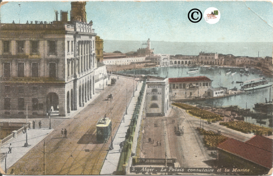 Algiers the Consular Palace and the Navy Alger Street Scene Vintage Postcard Old