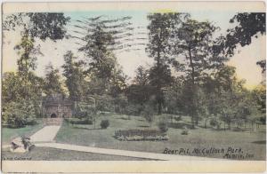 Indiana Ind Postcard 1908 MUNCIE McCULLOCH PARK Bear Pit Hand Colored