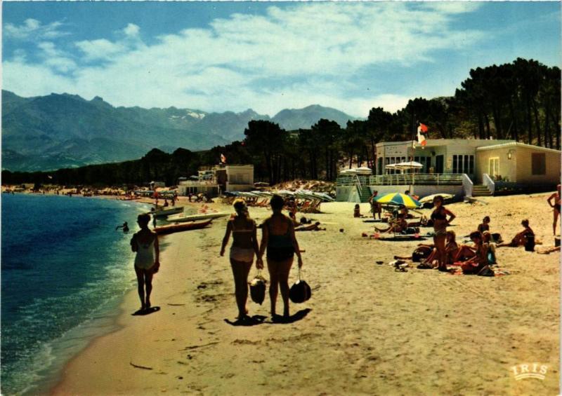 CPM CORSE - CALVI - La plage vers la montagne enneigée (711016)