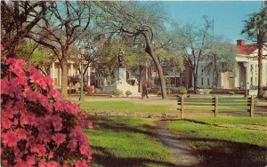 Savannah Georgia 1960s Postcard Oglethorpe Square Monument