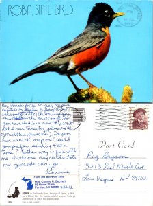 Robin, State Bird (11666)