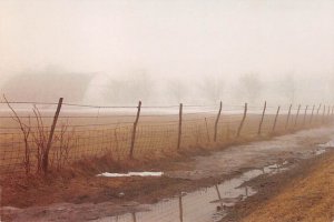 Spring Thaw, By Larry Kanfer 