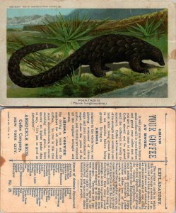 1890 Arbuckle Bros. Coffee Trade Card Phatagin Pangolin Zoological No. 28