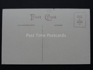 Somerset: BATH Pulteney Bridge and Weir c1908