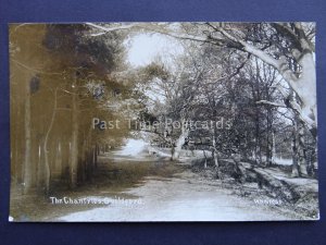 Surrey GUILDFORD The Chantries c1909 Old RP Postcard by W.H.A. 1056