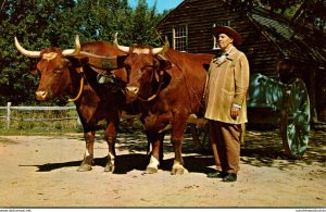 Massachusetts Old Sturbridge Village Farmer With Ox Cart and Oxen