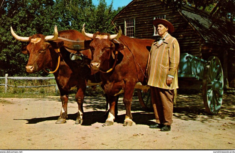 Massachusetts Old Sturbridge Village Farmer With Ox Cart and Oxen
